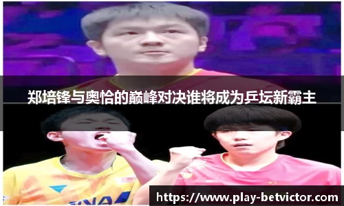 韦德体育平台