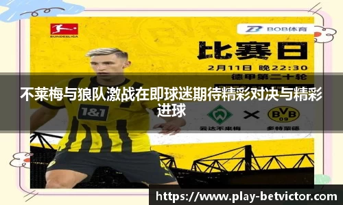 韦德体育官网
